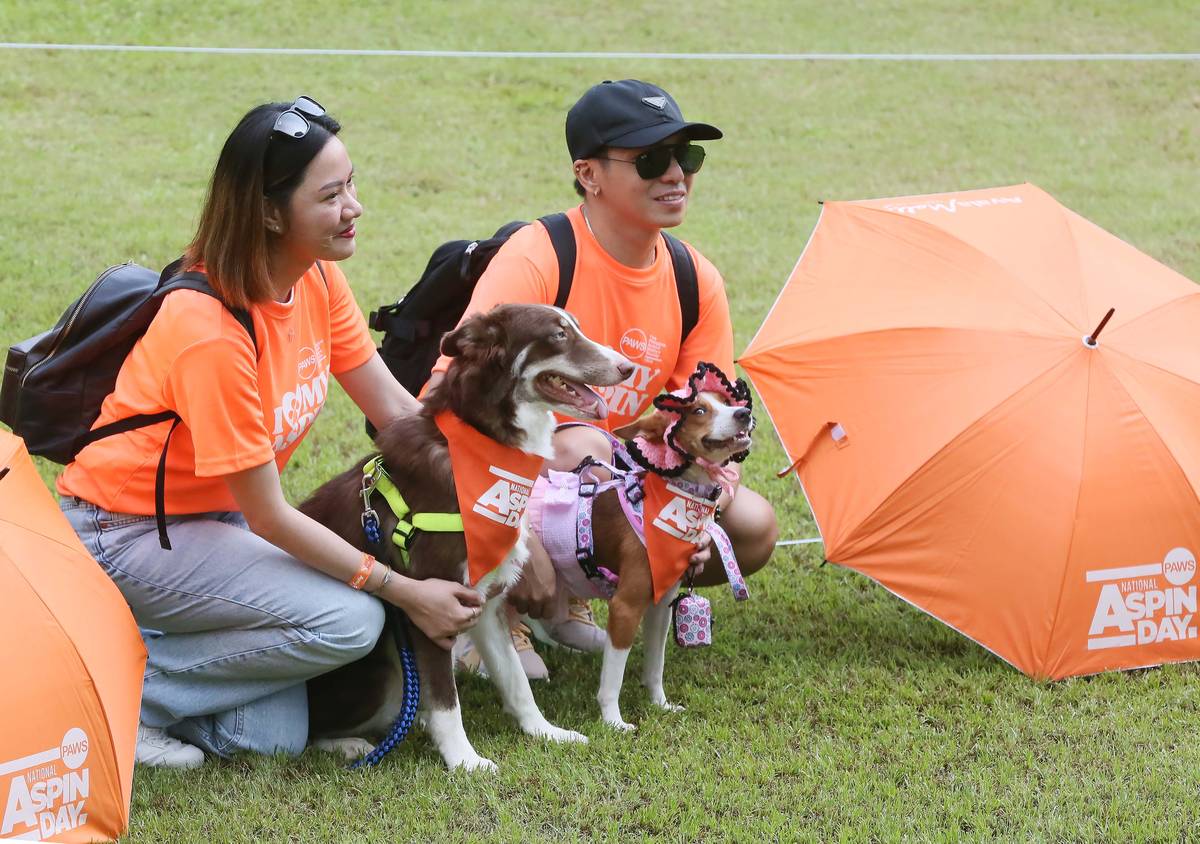 Aspin – or Asong Pinoy -- fur parents and animal rescue volunteers gather at the Vertis North Ayala Malls in Quezon City on Sunday to commemorate National Aspin Day. Photo/Analy Labor